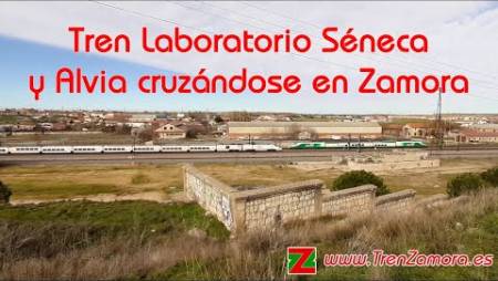 www.TrenZamora.es | Séneca y Alvia cruzando en Zamora