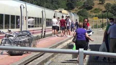 La pandemia pasa factura al tren